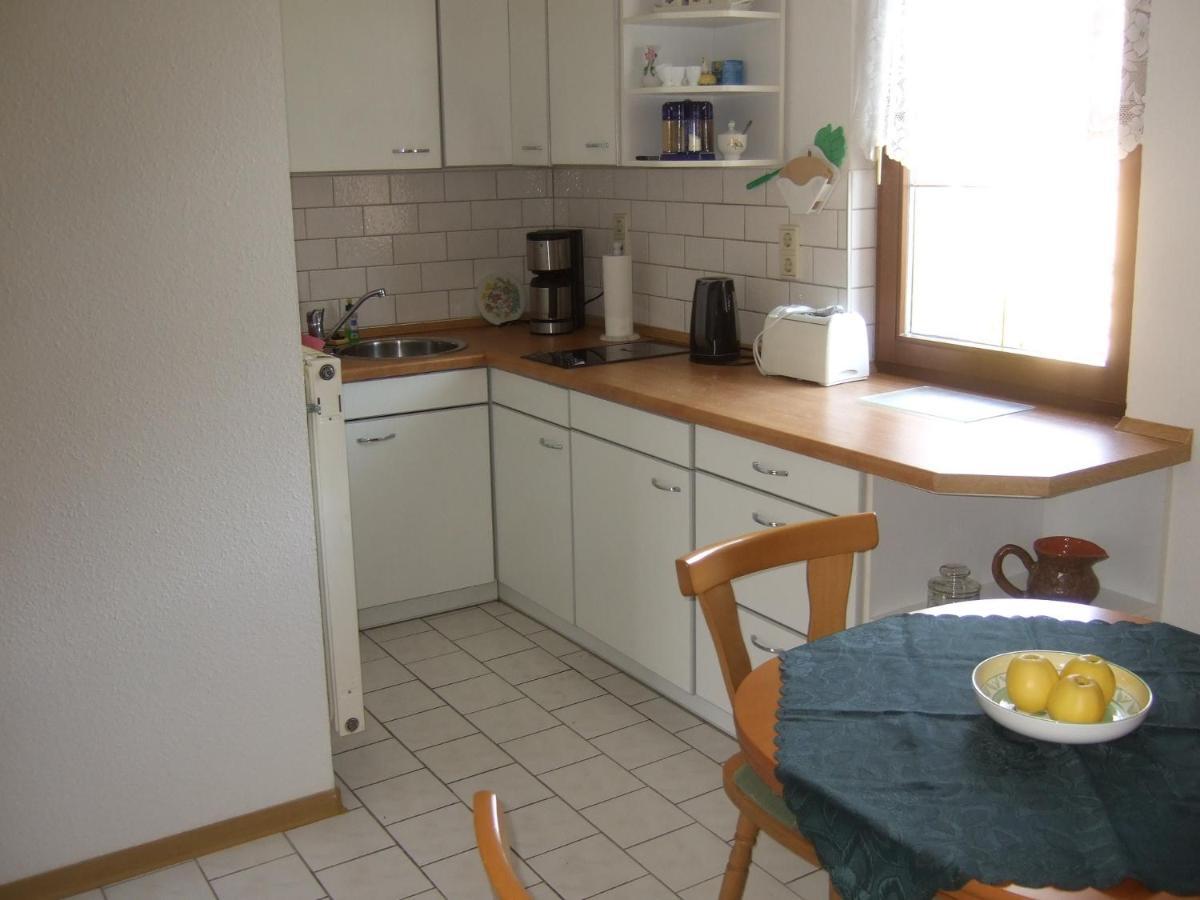 Ferienwohnung Am Neuseenland Rotha Екстер'єр фото