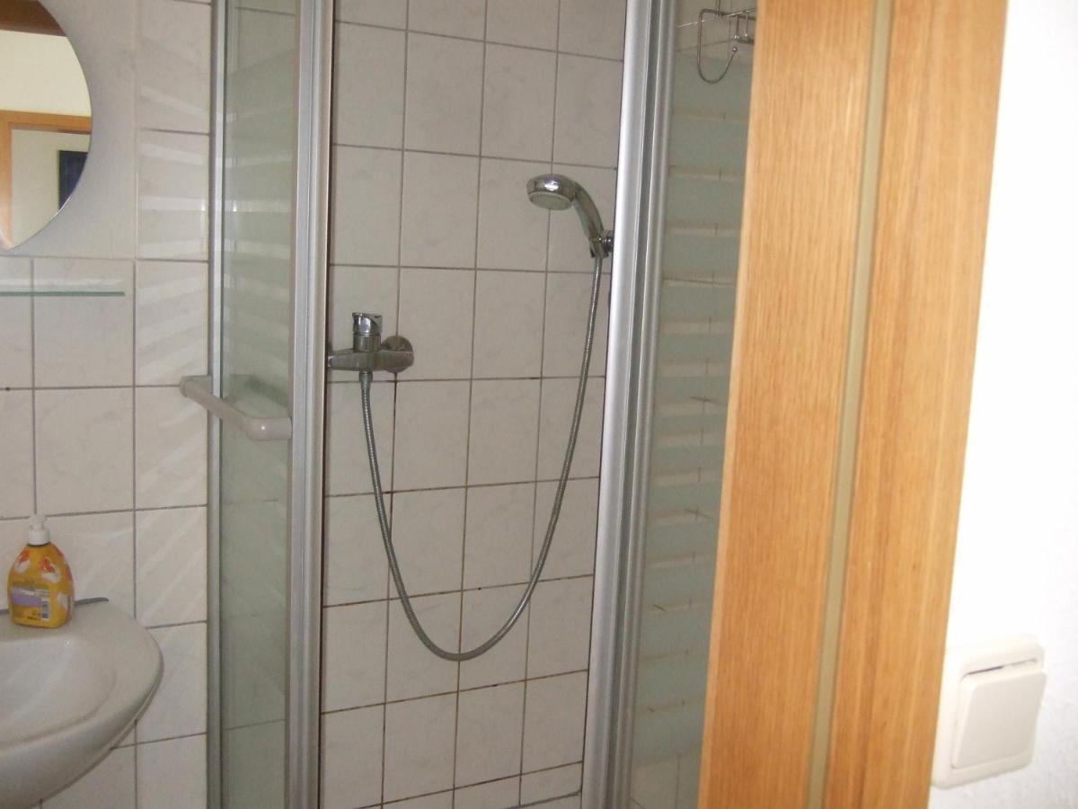 Ferienwohnung Am Neuseenland Rotha Екстер'єр фото